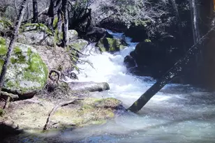 7152 Fire Pine Ln, Somerset, CA 95684 - Photo 1