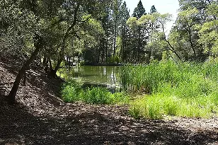 18706 Shirley Ln, Grass Valley, CA 95949 - Photo 15