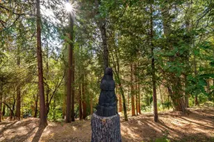 922 Freeman Ln, Grass Valley, CA 95949 - Photo 37