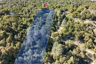 4450 Cosumnes View Trail, Placerville, CA 95667 - Photo 5