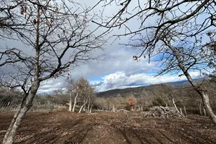 12230 Ponderosaa, Hornbrook, CA 96944 - Photo 23