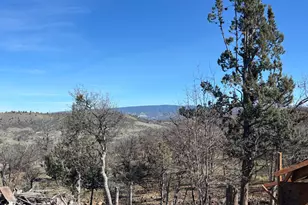 12230 Ponderosaa, Hornbrook, CA 96944 - Photo 27