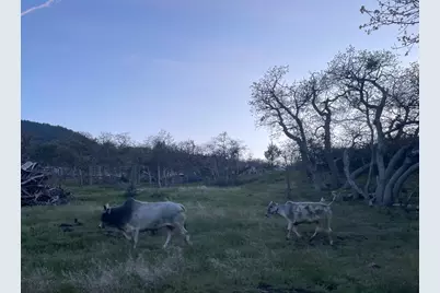 12230 Ponderosaa, Hornbrook, CA 96944 - Photo 19