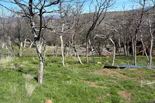 12230 Ponderosaa, Hornbrook, CA 96944 - Photo 25