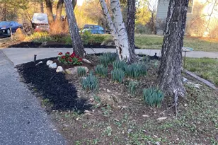 18768 You Bet Rd, Grass Valley, CA 95945 - Photo 41