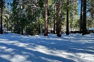 10421 Wentworth Springs Rd, Georgetown, CA 95634 - Photo 13