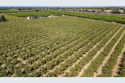 580 Oswald Road, Yuba City, CA 95991 - Photo 5