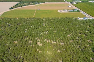 12407 Elm Ave, Patterson, CA 95363 - Photo 39