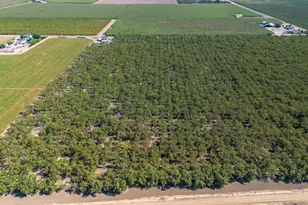 12407 Elm Ave, Patterson, CA 95363 - Photo 41