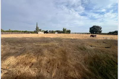 10283 Wooley Road, Live Oak, CA 95953 - Photo 37