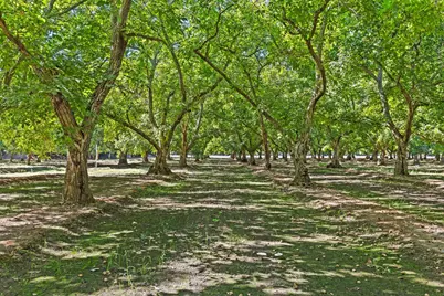 609 Meyers Avenue, Gridley, CA 95948 - Photo 51