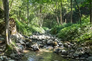 26270 Foresthill Rd, Foresthill, CA 95631 - Photo 25