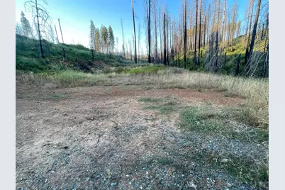 5095 Evergreen Drive, Grizzly Flats, CA 95636 - Photo 1
