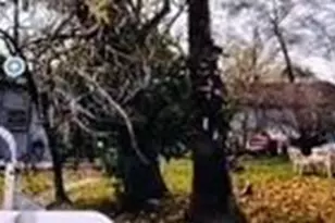 125 Birch St, Roseville, CA 95678 - Photo 1