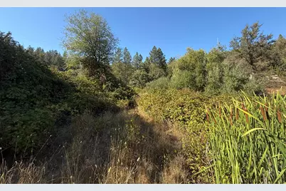 17898 Alexandra Way, Grass Valley, CA 95949 - Photo 9