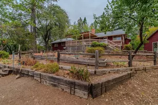 13825 Pine View, Pine Grove, CA 95665 - Photo 57