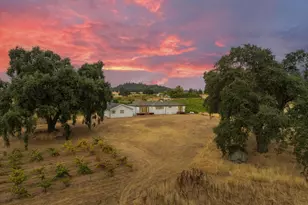 10880 Valley Dr, Plymouth, CA 95669 - Photo 37