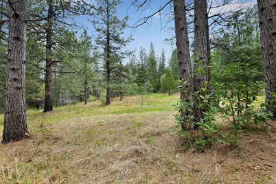 13824 Baker Road, Camptonville, CA 95922 - Photo 9