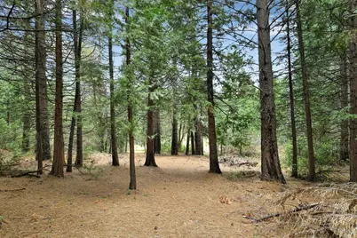 13824 Baker Road, Camptonville, CA 95922 - Photo 37