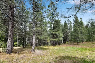 13824 Baker Road, Camptonville, CA 95922 - Photo 21