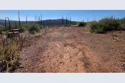 5190 Evergreen Drive, Grizzly Flats, CA 95636 - Photo 13