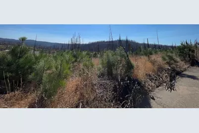 5190 Evergreen Drive, Grizzly Flats, CA 95636 - Photo 31