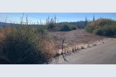 5190 Evergreen Drive, Grizzly Flats, CA 95636 - Photo 3