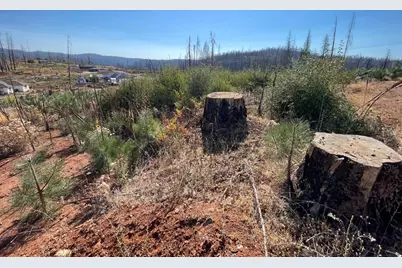 5190 Evergreen Drive, Grizzly Flats, CA 95636 - Photo 17