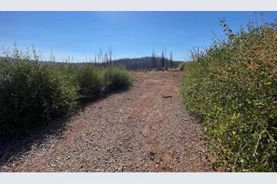 5190 Evergreen Drive, Grizzly Flats, CA 95636 - Photo 11