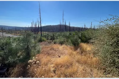 5190 Evergreen Drive, Grizzly Flats, CA 95636 - Photo 15