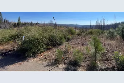 5190 Evergreen Drive, Grizzly Flats, CA 95636 - Photo 33