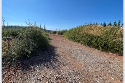 5190 Evergreen Drive, Grizzly Flats, CA 95636 - Photo 9