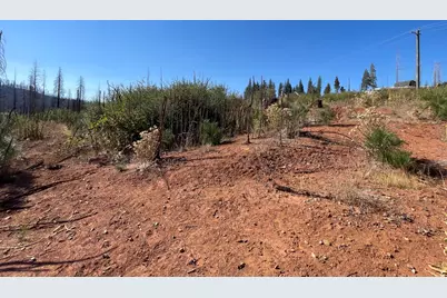 5190 Evergreen Drive, Grizzly Flats, CA 95636 - Photo 23