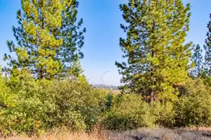 999 Doe Rd, Rail Road Flat, CA 95248 - Photo 83