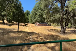 3553 Bald Mountain Rd, West Point, CA 95255 - Photo 17