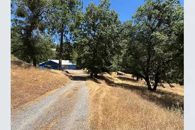 3553 Bald Mountain Road, West Point, CA 95255 - Photo 1