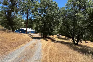 3553 Bald Mountain Rd, West Point, CA 95255 - Photo 1