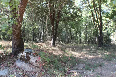 901 Bald Mountain Road, West Point, CA 95255 - Photo 11