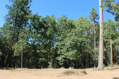 901 Bald Mountain Road, West Point, CA 95255 - Photo 5