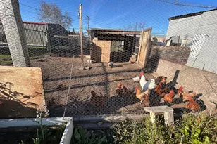 4910 E Zeering Rd, Denair, CA 95316 - Photo 9