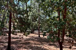 13028 Somerset Dr, Grass Valley, CA 95945 - Photo 1