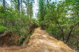 18000 W Clinton Rd, Jackson, CA 95642 - Photo 75