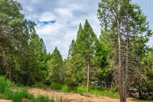 18000 W Clinton Rd, Jackson, CA 95642 - Photo 65