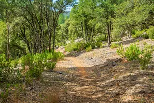 18000 W Clinton Rd, Jackson, CA 95642 - Photo 83