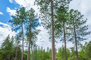 18000 W Clinton Rd, Jackson, CA 95642 - Photo 67