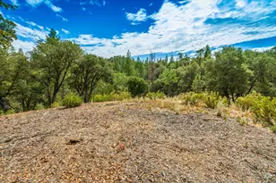 18000 W Clinton Rd, Jackson, CA 95642 - Photo 63