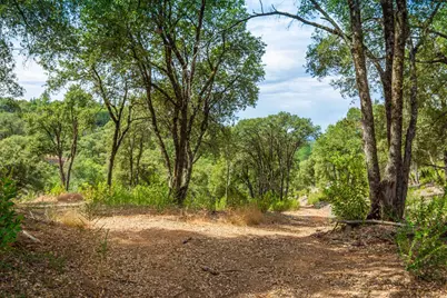 18000 W Clinton Road, Jackson, CA 95642 - Photo 81