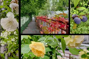 134 Boulder St, Nevada City, CA 95959 - Photo 65