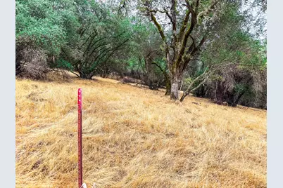 6791 Carvers Road, Garden Valley, CA 95633 - Photo 7