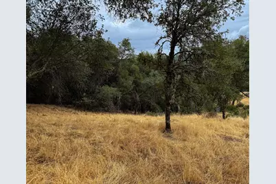 6791 Carvers Road, Garden Valley, CA 95633 - Photo 9